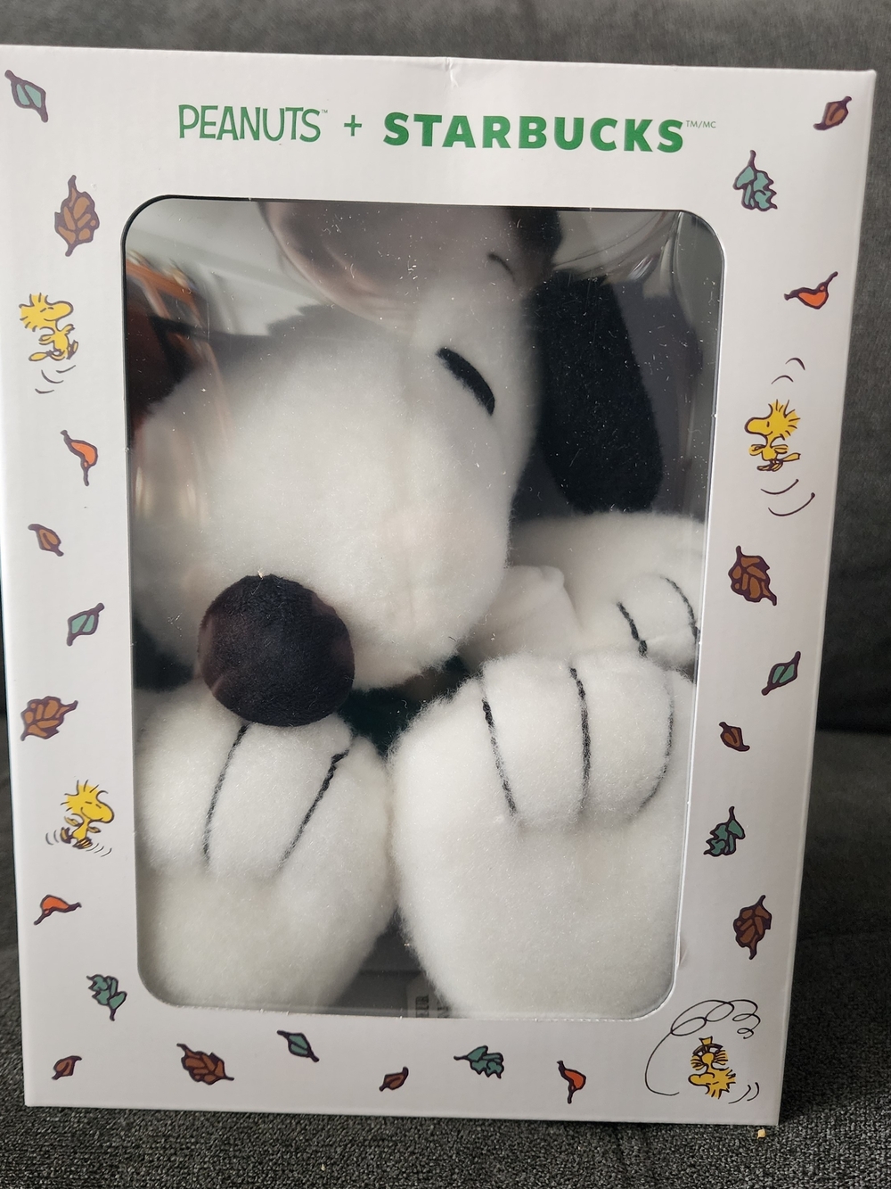 Peanuts x Starbucks Snoopy Pumpkin Plush – BNWT